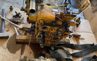 REVISIONE DISTRIBUTORE JCB